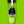 Load image into Gallery viewer, Green Sip-Line with Green Background