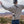 Load image into Gallery viewer, Man on Hike with Grey Sip-Line