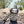 Load image into Gallery viewer, Hiking Closeup of Hunter Green Sip-Line
