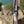 Load image into Gallery viewer, Khaki Sip-Line Can Cooler Hanging from Rafter Outdoors