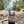 Load image into Gallery viewer, Hiking with a Sip-Line