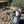 Load image into Gallery viewer, Grey Sip-Line on a Rock Closeup Holding a Tall Boy Can